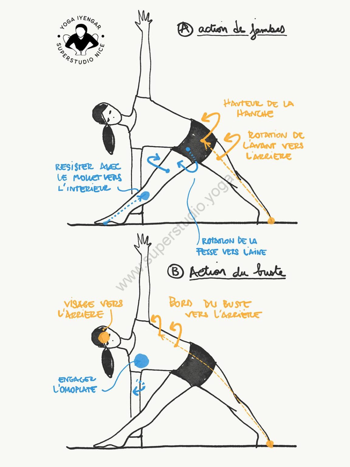Les postures debout - le buste | SuperStudio Yoga yengar